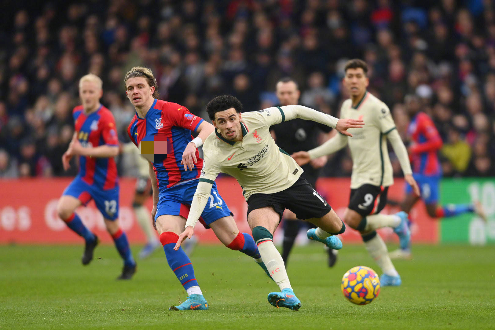 也需参与比 也需参与比